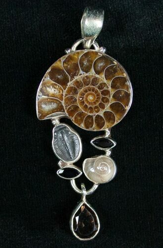 Ammonite + Trilobite Pendant - Sterling Silver #7050